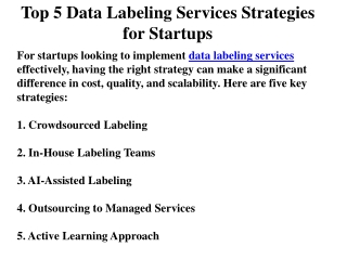Top 5 Data Labeling Services Strategies for Startups