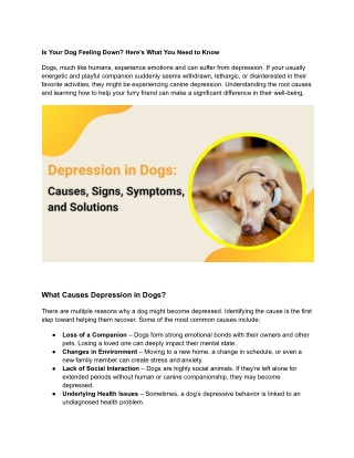 Is Your Dog Feeling Down