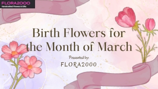 Birth Flowers for the Month of March: Daffodil & Jonquil