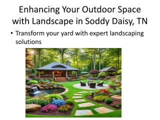 Landscape_Soddy_Daisy_Presentation