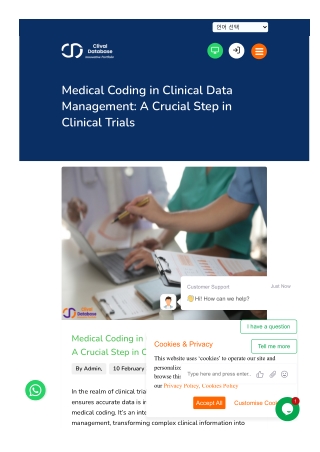 Clinical Research Organization: A Key Partner in Clinical Drug Development