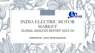India Electric Motor Market Dynamics: Impact of Government Policies and Initiati