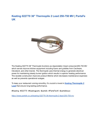 Keating 022770 36_ Thermopile 2 Lead 250-750 MV _ PartsFe UK