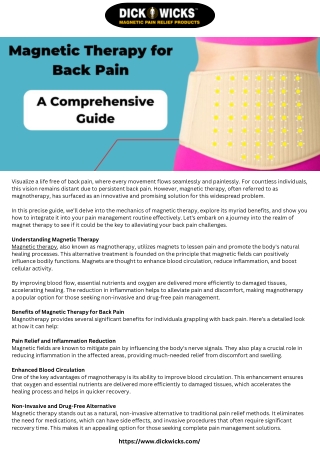 Magnetic Therapy for Back Pain A Comprehensive Guide