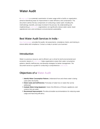Water Auditor Services