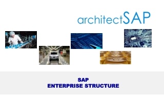 SAP Enterprise Structure