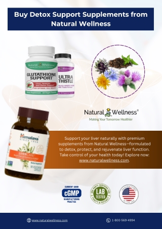 Buy Detox Support Supplements from Natural Wellness - www.naturalwellness.com