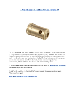 T And S Brass 64L Hot Insert Barrel PartsFe CA