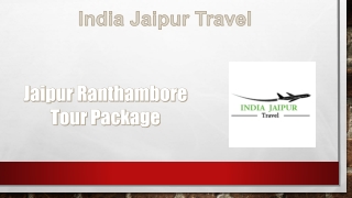 Jaipur Ranthambore Tour Package (1)