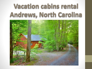 Vacation cabins rental Andrews, North Carolina