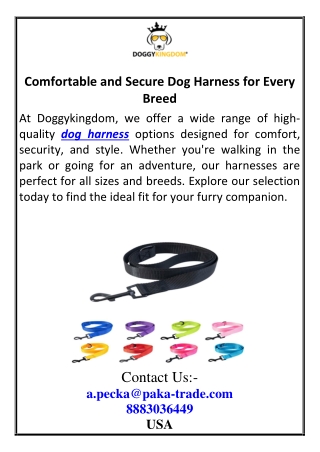 Comfortable and Secure Dog Harness for Every Breed