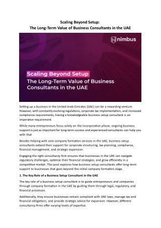Scaling Beyond Setup The Long-Term Value of Business Consultants in the UAE
