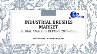 Industrial Brushes Market Share and Future Growth Opportunities 2030