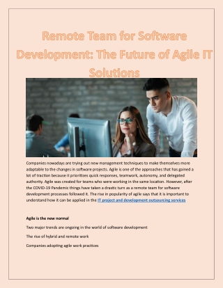 Remote Team for Software Development The Future of Agile IT Solutions