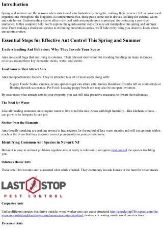 Essential Steps for Effective Ant Control This Spring and Summer