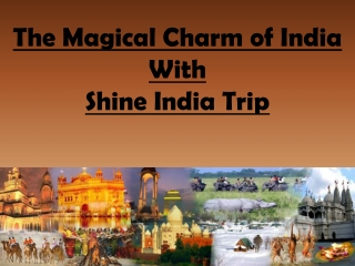 The Magical Charm of Holidays in India