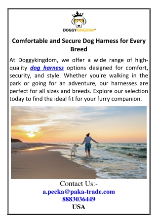 Comfortable and Secure Dog Harness for Every Breed