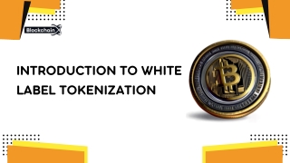 Introduction to White Label Tokenization