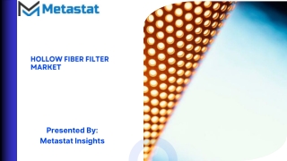 Hollow Fiber Filter Market Size & Share, Analysis 2031