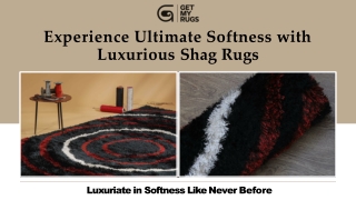 Cozy Shag Rugs That Bring Warmth to Any Room