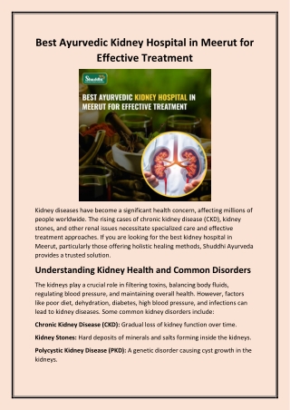 Best Ayurvedic Kidney Hospital in Meerut for Effective Treatment
