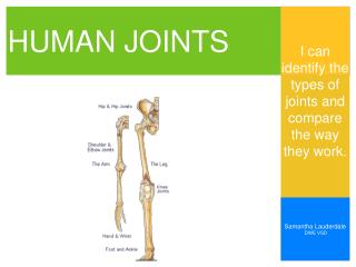 PPT - HUMAN JOINTS PowerPoint Presentation, Free Download - ID:1400633