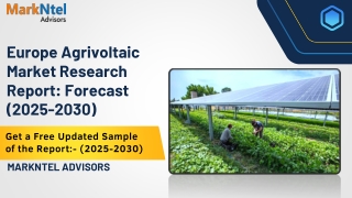 Europe Agrivoltaic Market Growth and Trends Analysis: MarkNtel Advisors