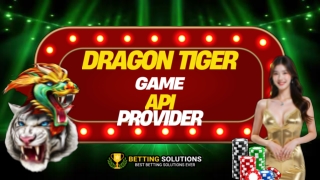 Top Dragon Tiger Game API Provider in India