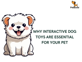 Why Interactive Dog Toys are Essential for Your Pet