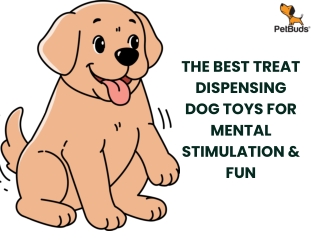 The Best Treat Dispensing Dog Toys for Mental Stimulation & Fun