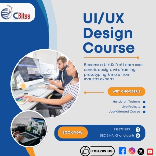 Best UI UX Design Course in Chandigarh | Learn from Experts