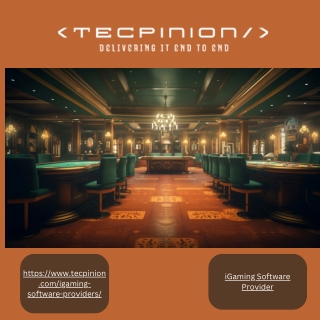 Leading iGaming Software Provider for Cutting-Edge Gaming Solutions