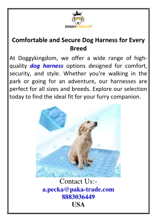 Comfortable and Secure Dog Harness for Every Breed