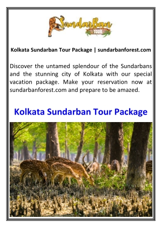 Kolkata Sundarban Tour Package  sundarbanforest.com