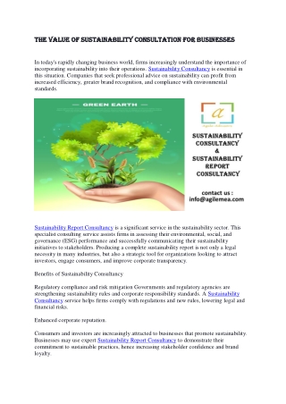 The Value of Sustainability Consultation for Businesses
