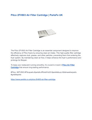 Pitco 2FV803 Air Filter Cartridge _ PartsFe UK