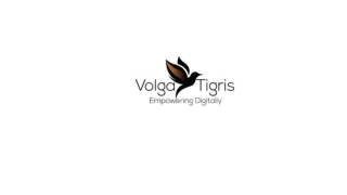 Volga Tigris Describes How AI Chatbots Impact SEO and Website Traffic