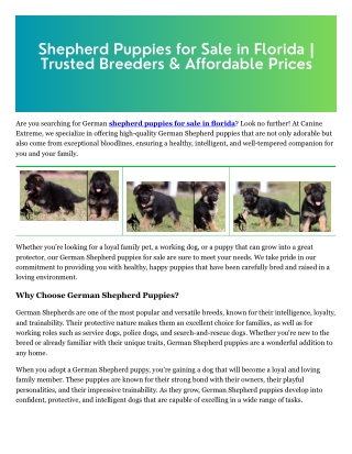 shepherd puppies for sale in florida
