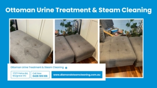 Ottoman Urine Treatment & Steam Cleaning in Mulgrave