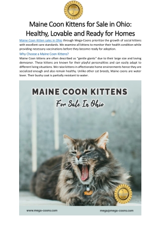 Maine Coon Kittens for Sale in Ohio- Healthy, Lovable and Ready for Homes
