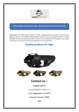 Shop Quality Products for Dogs Top Essentials for Your Furry Friend
