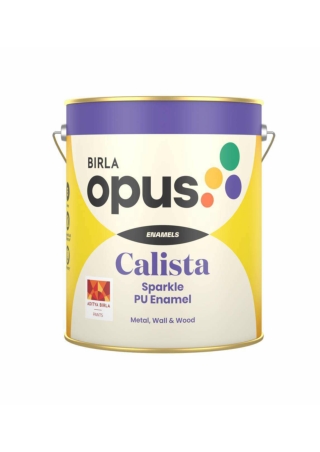 Premium Enamels for Walls And Wood - Enamel Paint Colours - Birla Opus