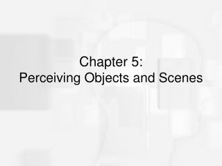 Chapter 5: Perceiving Objects and Scenes