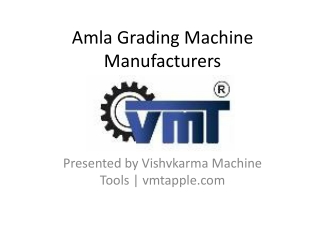 Top Amla Grading Machine Manufacturers | High-Quality Grading Solutions