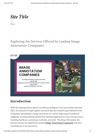 Exploring the Services Offered by Leading Image Annotation Companies