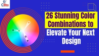 Best Web Designing Training in Chandigarh | Learn from Experts