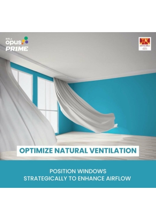 Premium Wall Paints for Professionals - Birla Opus Prime Products
