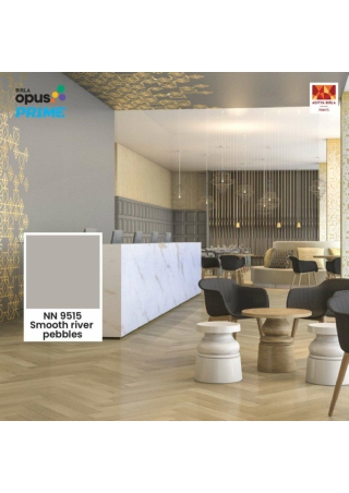 Colors And Interior Paint Solutions - Birla Opus Prime Interior Paint