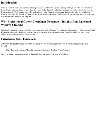 Why Professional Gutter Cleaning is Necessary - Insights from Lakeland Window Cl