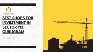 Best Shops for Investment in Sector 113, Gurugram